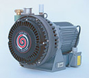 Varian dry pump